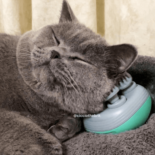 Cat Massager