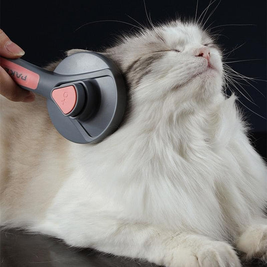 Cat Grooming Brush | Savy Verse